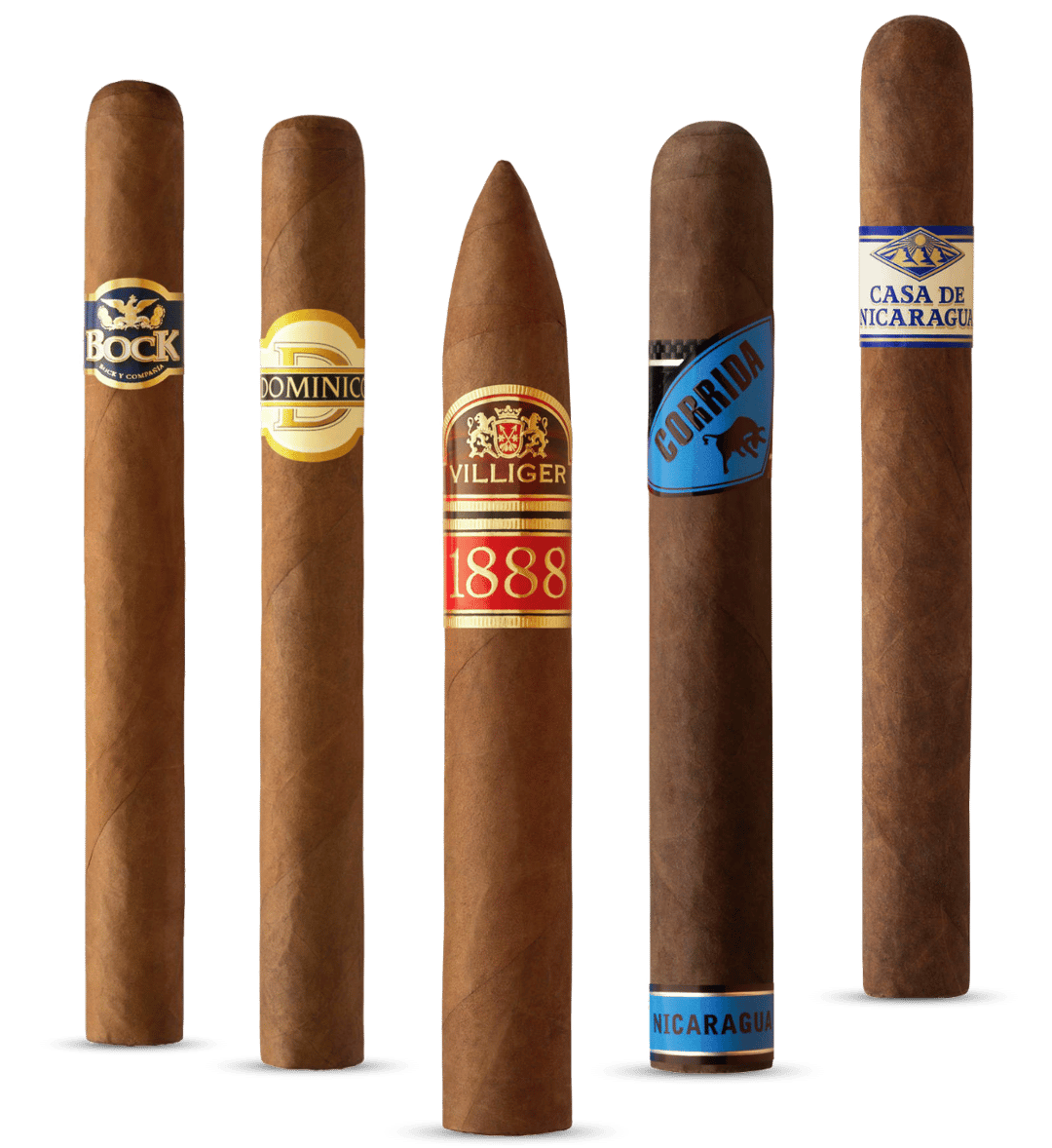 Zigarren Bock, Dominico, 1888, Corrida