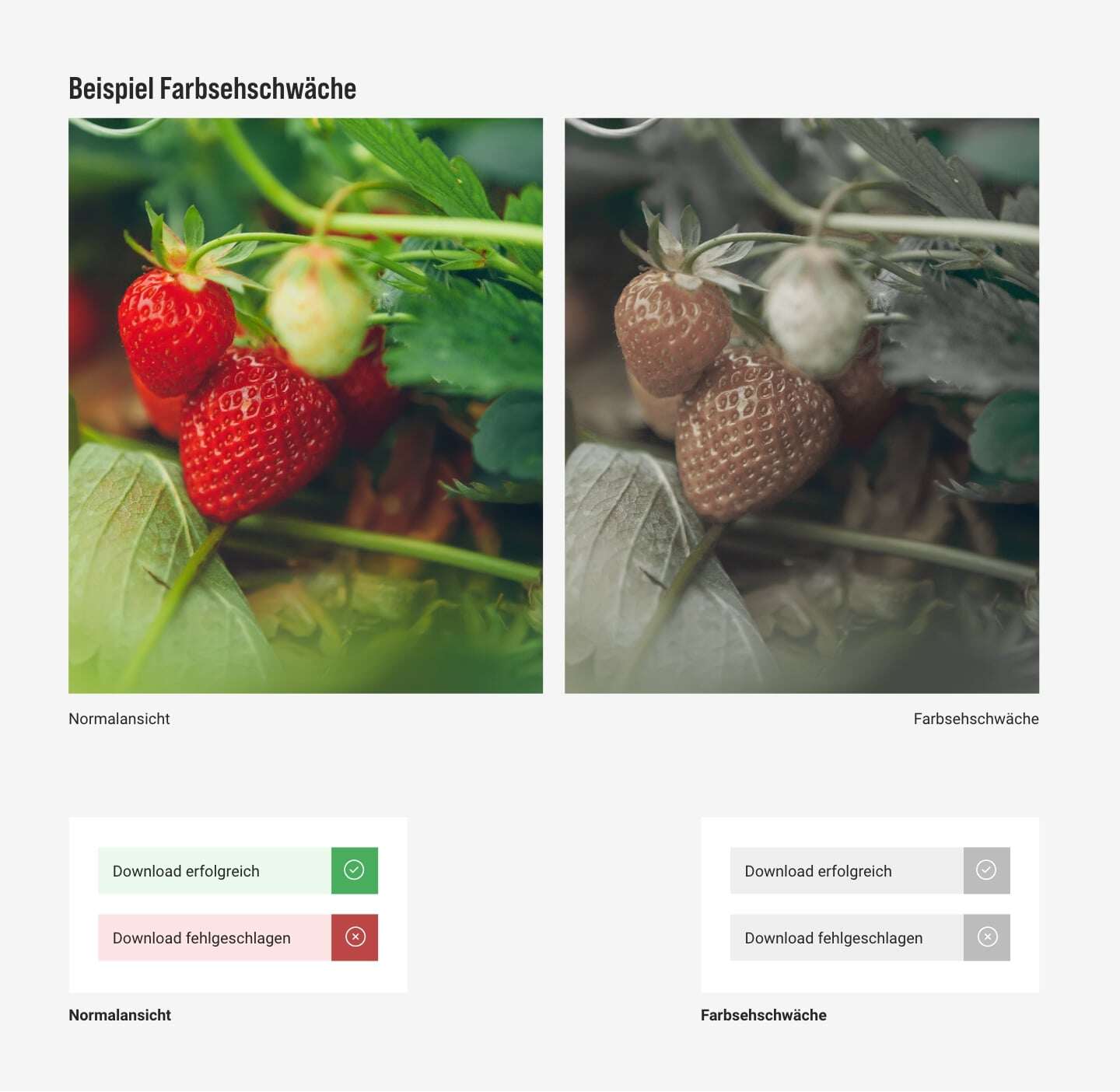 Beispiel Farbschwäche. Vergleicht ein Bild mit Erdbeeren mit und ohne Farbschwäche